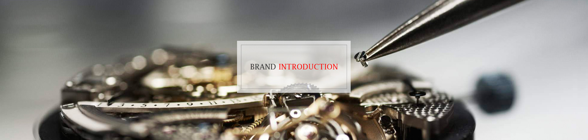 Brand Profile